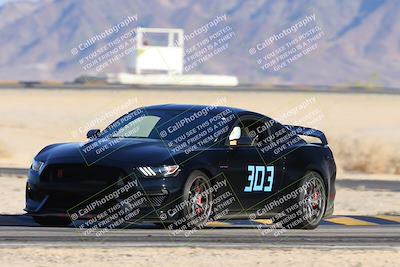 media/Nov-23-2024-Nasa (Sat) [[59fad93144]]/HPDE 1-2/Session 3 Turn 4 Tree of Life/